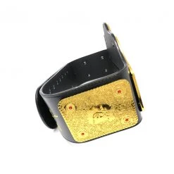 Hogan's Beach Shop Hollywood Hogan Signed WCW NWO Championship Title Belt Replica 8 Hogan's Beach Shop Hollywood Hogan Signed WCW NWO Championship Title Belt Replica