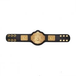 Hogan's Beach Shop WCW Heavyweight Championship Mini Replica Title Belt