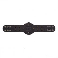 Hogan's Beach Shop WCW Heavyweight Championship Mini Replica Title Belt