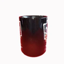 Hulk Hogan's Wrestling Shop NWO Crab Pose Mug COFFEE MUGS