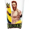 Hogan's Beach Shop SOUVENIRS Sheamus WWE Pint Glass