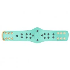 Hogan's Beach Shop WWE Blue Winged Eagle Championship Mini Replica Title Belt