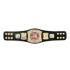 Hogan's Beach Shop MINI BELTS WWE Edge Spinner Championship Mini Replica Title Belt